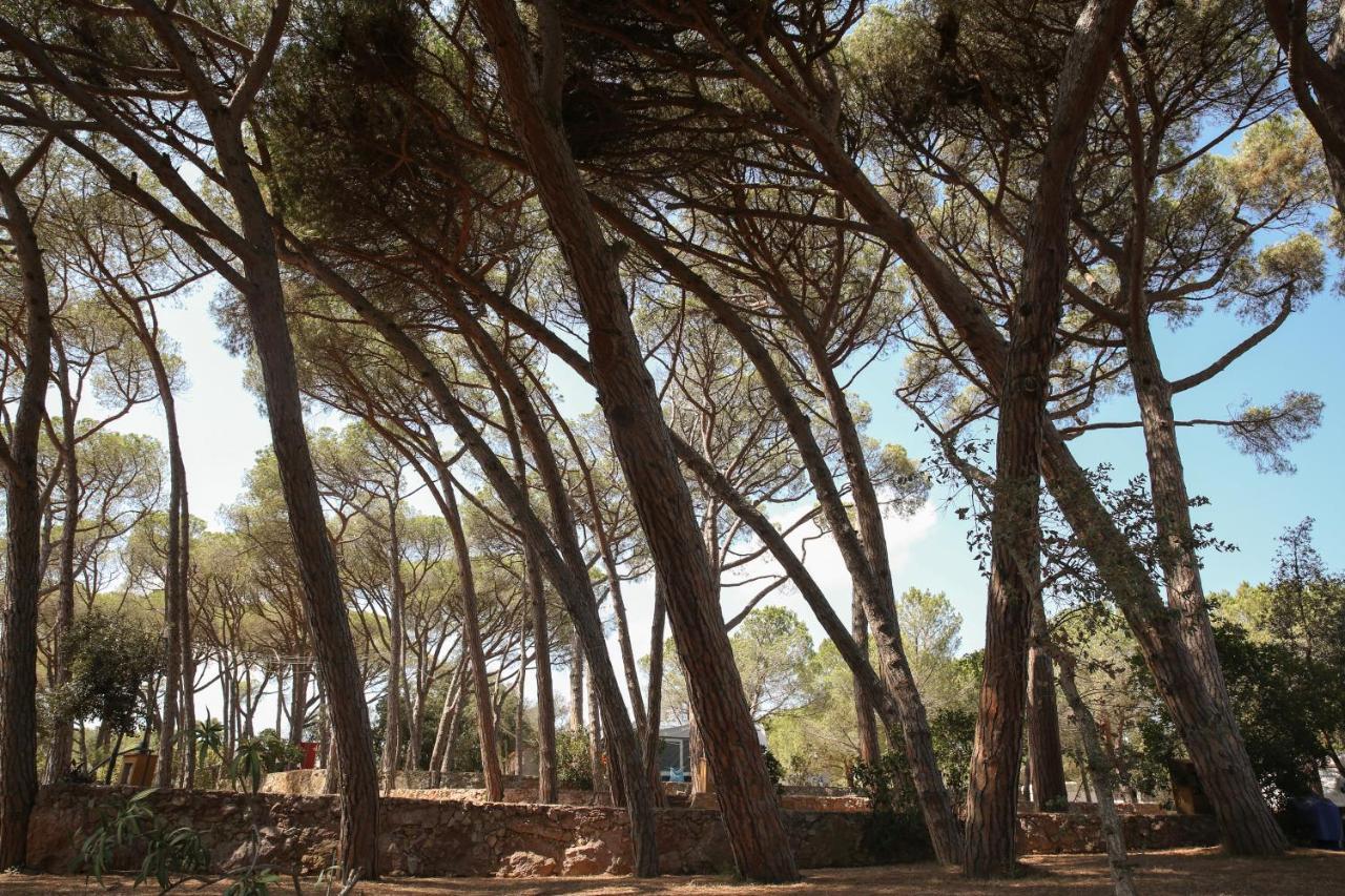 Camping 3 Estrellas Costa Brava Vall-Llobrega Exteriör bild